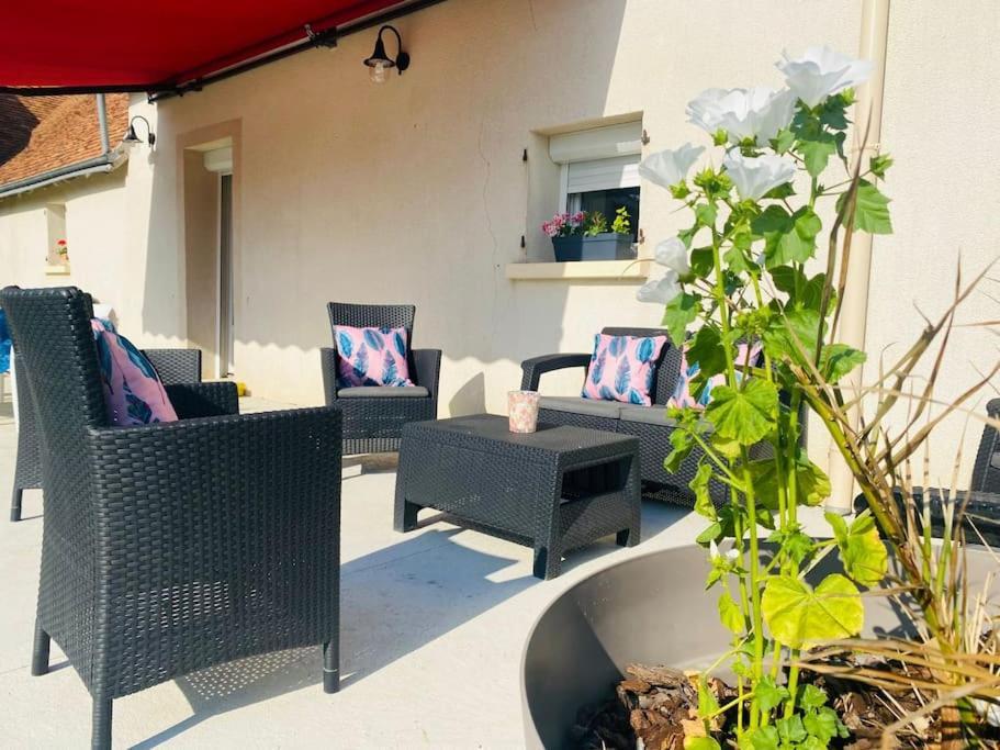 Gite Chez Paulette Mareuil-sur-Cher Екстер'єр фото